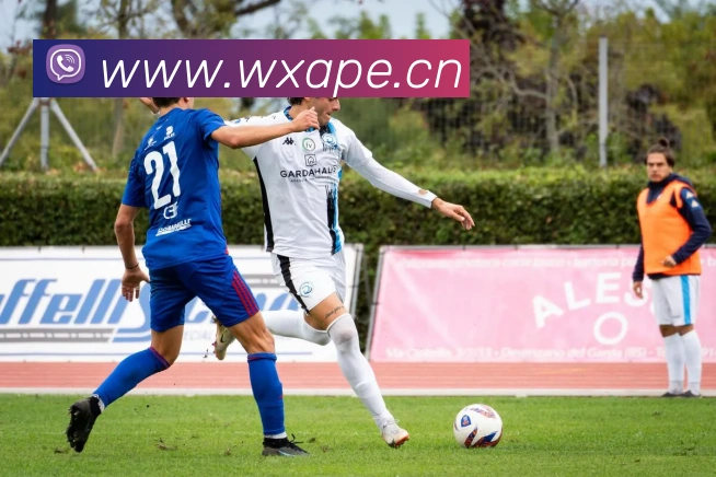 hth体育app官网下载平台生态图