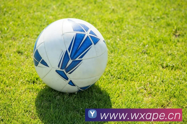 辅助工具 辅助工具